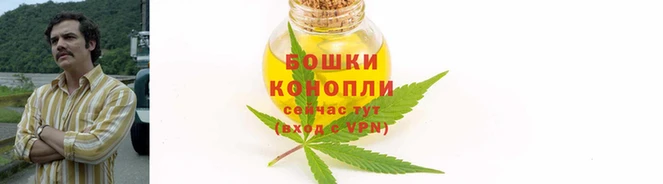 ГАЛЛЮЦИНОГЕННЫЕ ГРИБЫ Арсеньев