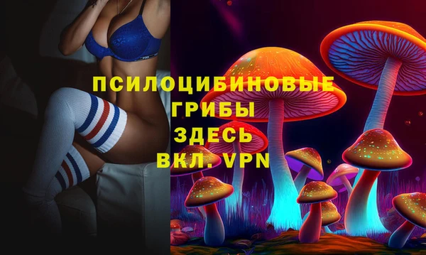 дмт Армянск