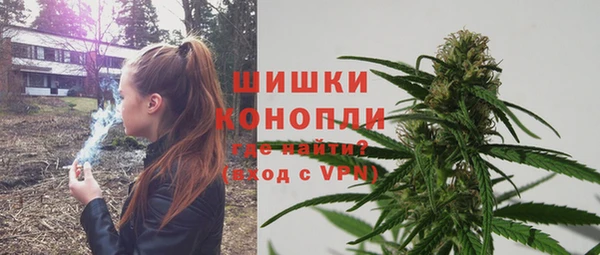 ГАЛЛЮЦИНОГЕННЫЕ ГРИБЫ Арсеньев