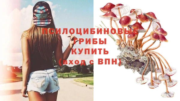 мяу мяу мука Аркадак