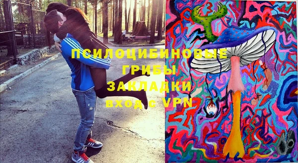 мяу мяу мука Аркадак